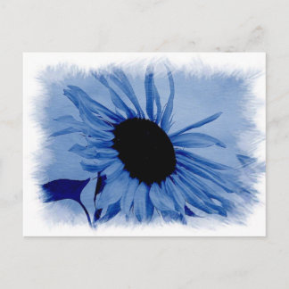 Blue Sunflower Postcard Postkarte