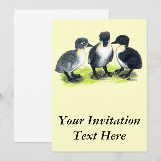 Blue Swedish Ducklings Einladung (Vorne/Hinten)