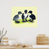 Blue Swedish Ducklings Poster (Küche)