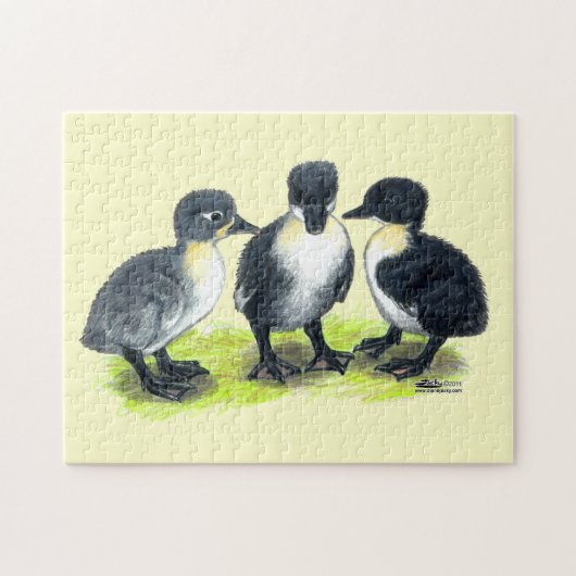 Blue Swedish Ducklings Puzzle (Horizontal)