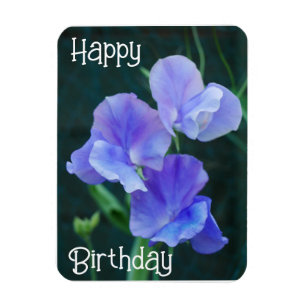 Blue Sweet Pea Blume Birthday Magnet
