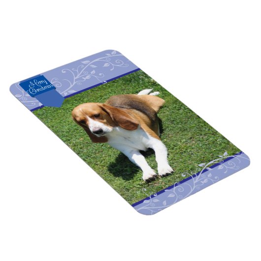 Blue Tab & Blüh Frohe Weihnachtsmagnet Magnet (Rechte Seite)