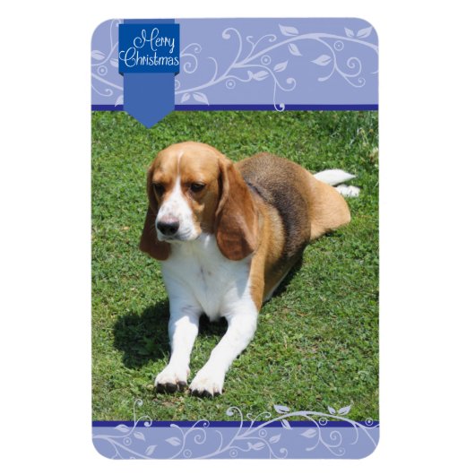 Blue Tab & Blüh Frohe Weihnachtsmagnet Magnet (Vertikal)