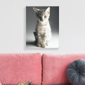 Blue Tabby Kitten Leinwanddruck (Insitu (Wohnzimmer))
