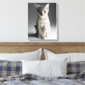 Blue Tabby Kitten Leinwanddruck (Insitu (Schlafzimmer))