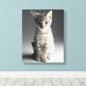 Blue Tabby Kitten Leinwanddruck (Insitu (Holzboden))