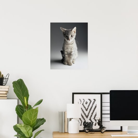 Blue Tabby Kitten Poster (Heimbüro)