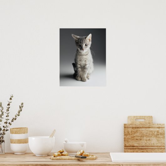 Blue Tabby Kitten Poster (Küche)