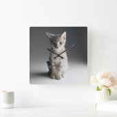 Blue Tabby Kitten Quadratische Wanduhr (Zuhause)