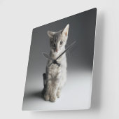 Blue Tabby Kitten Quadratische Wanduhr (Winkel)