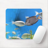 Blue Tang Fish Mousepad (Mit Mouse)