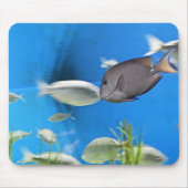 Blue Tang Fish Mousepad (Vorne)