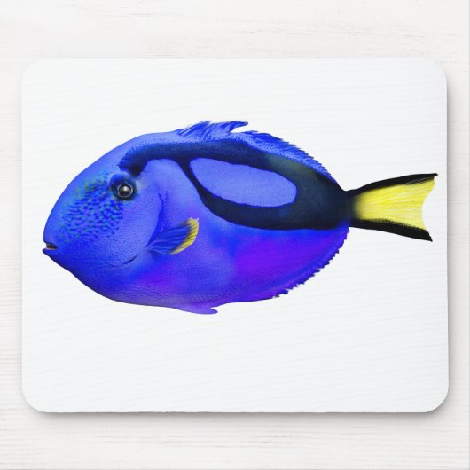 Blue Tang Saltwater Fish Mousepad (Vorne)