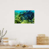 Blue Tang School Poster (Küche)