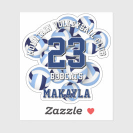 Blue Team Farben Volleyballs Cluster Aufkleber