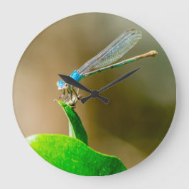 Blue Texas Damselfly auf einem Blatt Große Wanduhr