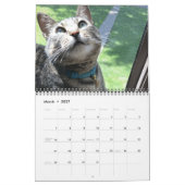 Blue the Cat - Kalender 2021 (Mär 2027)