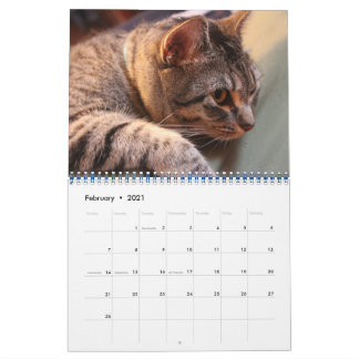 Blue the Cat - Kalender 2021