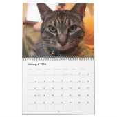Blue the Cat - Kalender 2021 (Jan 2026)