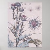 Blue Thistle Poster (Vorne)