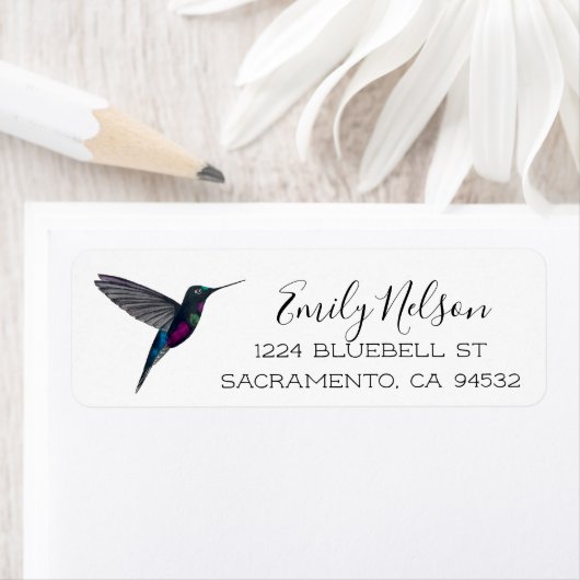 Blue-throated Stafrontlet Hummingbird  (Insitu)