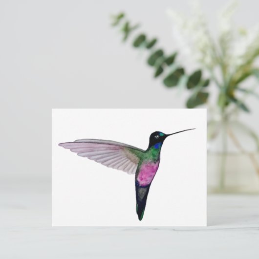 Blue-throated starfrontlet postkarte (Stehend Vorderseite)