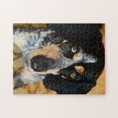 Blue Tick Coonhound Jigsaw Puzzle (Horizontal)