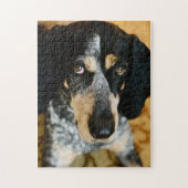 Blue Tick Coonhound Jigsaw Puzzle (Vertikal)