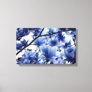 Blue Tinted Japanisch Magnolia Canvas Print Leinwanddruck
