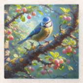 Blue Tit 1 Glasuntersetzer (Vorderseite)