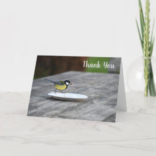 Blue Tit Bird Fütternd Dankeskarte