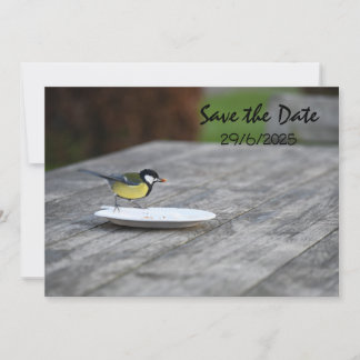 Blue Tit Bird Füttre Save the Date Einladungskarte