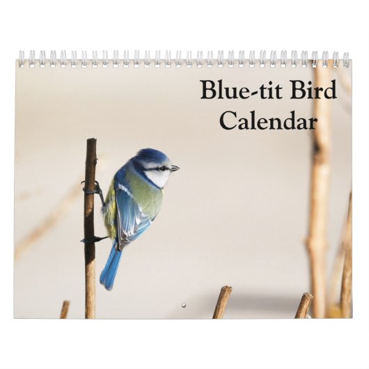Blue-Tit Bird-Kalender 2025 Kalender (Titelbild)