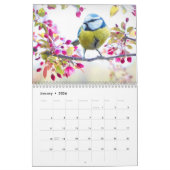 Blue-Tit Bird-Kalender 2025 Kalender (Jan 2026)