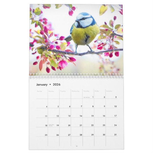 Blue-Tit Bird-Kalender 2025 Kalender (Jan 2026)