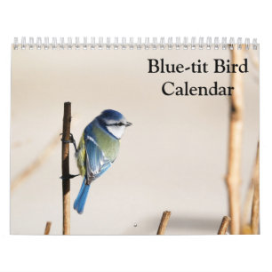 Blue-Tit Bird-Kalender 2025 Kalender