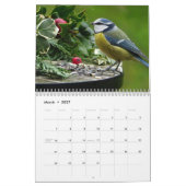 Blue-Tit Bird-Kalender 2025 Kalender (Mär 2027)
