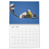 Blue-Tit Bird-Kalender 2026 Kalender (Mär 2027)