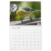 Blue-Tit Bird-Kalender 2026 Kalender (Jan 2027)