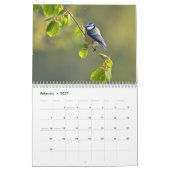 Blue-Tit Bird-Kalender 2026 Kalender (Feb 2027)