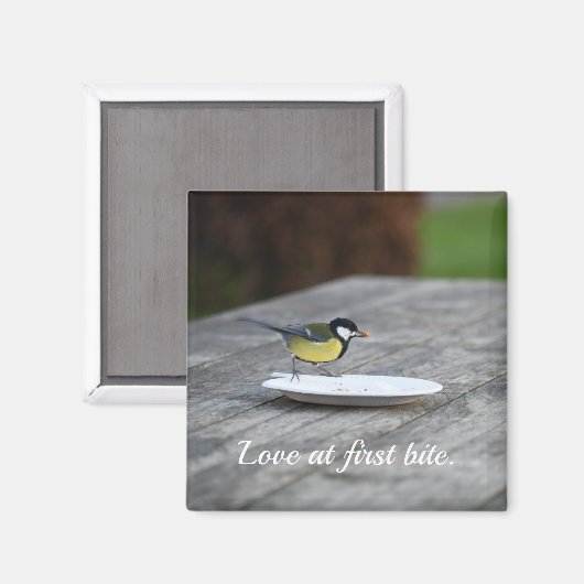 Blue Tit Fütternd auf Cake Plate Liebe bei First B Magnet (Vorderseite/Rückseite)