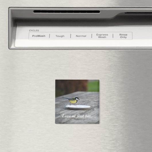 Blue Tit Fütternd auf Cake Plate Liebe bei First B Magnet (In Situ (Geschirrspüler))