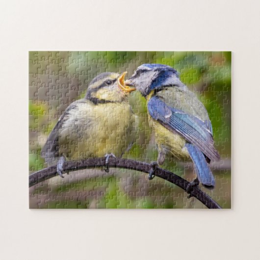 Blue Tit Fütternd Fledgling Jigsaw Puzzle (Horizontal)