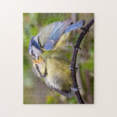 Blue Tit Fütternd Fledgling Jigsaw Puzzle (Vertikal)