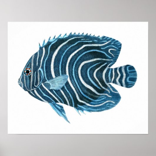 Blue Tropical Fish Print no.1 Poster (Vorne)