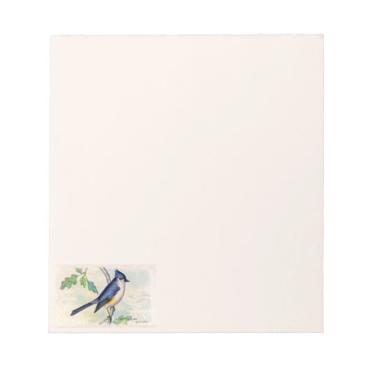 Blue Tufed Bird Notepad Notizblock (Vorderseite)