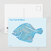 Blue Turbot Postkarte (Vorne/Hinten)