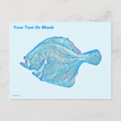 Blue Turbot Postkarte (Vorderseite)