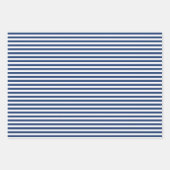 Blue Twigs & Pink Berries Weihnachtsmuster Geschenkpapier Set (Vorderseite 2)