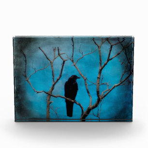 Blue Twilight Crow Fotoblock